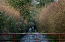 Body of man found in a drain in Co Offaly has been identified