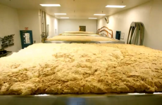 Mesmerising time-lapse video shows how beer ferments