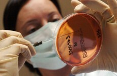 Canada confirms first death from bird flu in North America