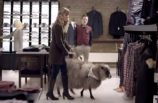 Brilliant advert for guide dogs imagines other animals in their place