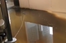 Ad agency denies 'poo rain' seen flooding into office