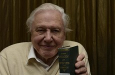 What is the one species of animal David Attenborough 'never thinks about'?