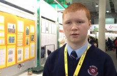 How clean are Irish apples? This student put it to the test
