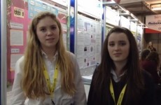 Teens discover whether obesity awareness affects young people's food choices