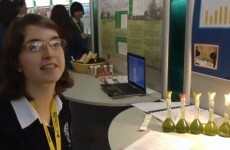 "Everyone has worked so hard" - why teens love the Young Scientist exhibition