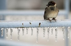 Drivers warned to take extra care on roads this weekend