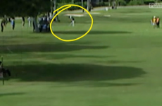 Another day, another spectacular golfing albatross