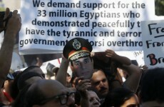 Egypt army chief will run for election "if there is public demand"