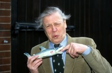 This David Attenborough comment thread turned into an incredible Fresh Prince cover