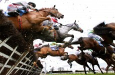 Fairyhouse scrambles to cover up anti-royal slogan burnt into turf