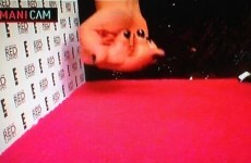 Who gave the finger and said "shit" live at the Golden Globes? It's The Dredge