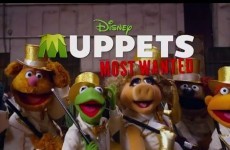 New Muppets trailer takes the p*ss out of tweets about the film