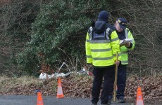 Man killed after car strikes horse in Waterford