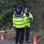Man killed after car strikes horse in Waterford