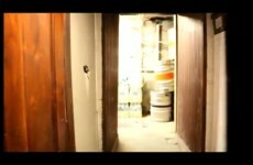 Going underground: What lurks in Whelan's cellar...