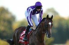 Coolmore confirms death of St Nicholas Abbey