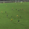 VIDEO: Michael Murphy hit a stunning 25-yard goal in the Dr McKenna Cup last night