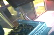 Incompetent burglar thwarted because he pulled door marked 'push'