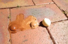 7 unbelievable things that happened in Australia's fierce heat
