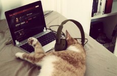 10 telling symptoms you're a certified television binger