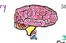 Can video games actually make you smarter?