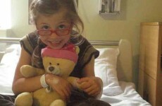 International lost teddy bear database helps reunite lost toys with their owners