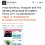 It looks like those Electric Picnic lineup 'announcements' are bogus