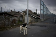 Sochi: The 'dark side' of the 2014 Winter Games