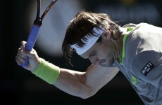 Don't dare get in the way of David Ferrer's towel