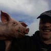 Ridiculously photogenic pig owns this #felfie