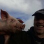 Ridiculously photogenic pig owns this #felfie