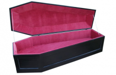 'Coffin bed' has hilariously mixed Amazon reviews