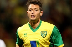Wes Hoolahan transfer request rejected, Norwich City confirm