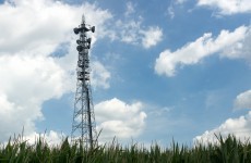 ESB will use its network to bring broadband to rural areas
