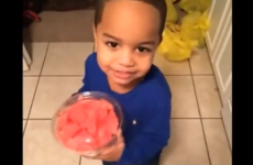 8 amazing Vines to celebrate the app's first birthday