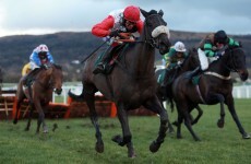 Knock out blow for Big Bucks hits punters’ pockets