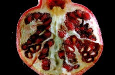 Can nutritional supplements make you more fertile?