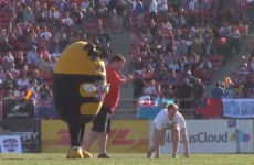 This is what happens when you mess with the USA's rugby mascot