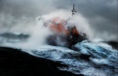 How Irish lifeboats rescued 10 animals - including a cow - last year