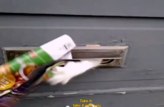 Furious cat fights postman through the letterbox