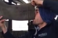 Irish farmer drinks can from his welly in the stupidest 'Neknominate' video yet