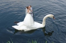 These are some of the most bizarre wedding images in existence
