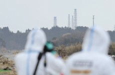 Top nuclear adviser to Japanese government quits over radiation limits
