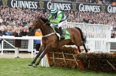 Rock On Ruby may head straight for Cheltenham