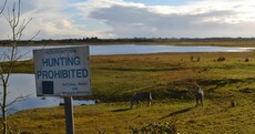 'Serious health hazard' as entire town's sewage piped into conservation area
