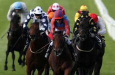 Minister supports doubling of betting tax to fund Irish horseracing industry