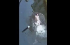 Man swims up flooded Oliver Plunkett St in Cork
