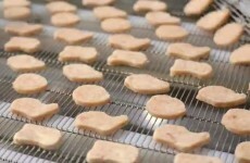 McDonald's explain why so many chicken nuggets look like Ireland