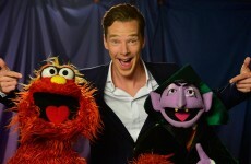 Cumberbatch's Sesame Street meeting opens with a big fat Sherlock spoiler