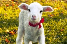 Column: When does spring really start? Let's clear this is up once and for all.